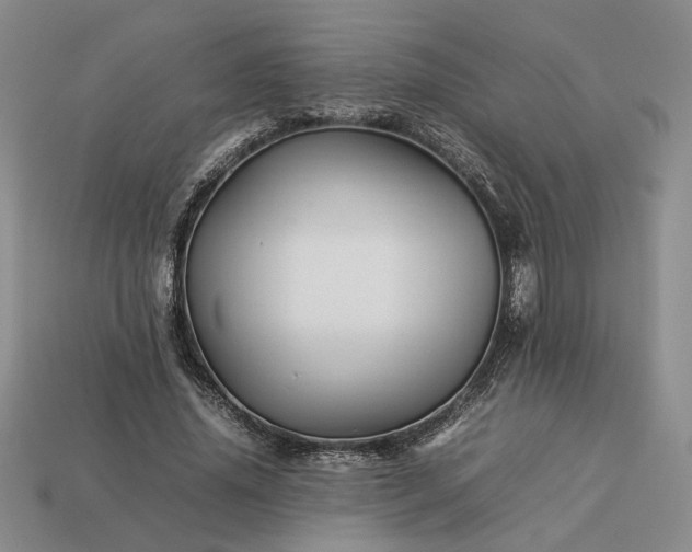 X0000113370636200909291052