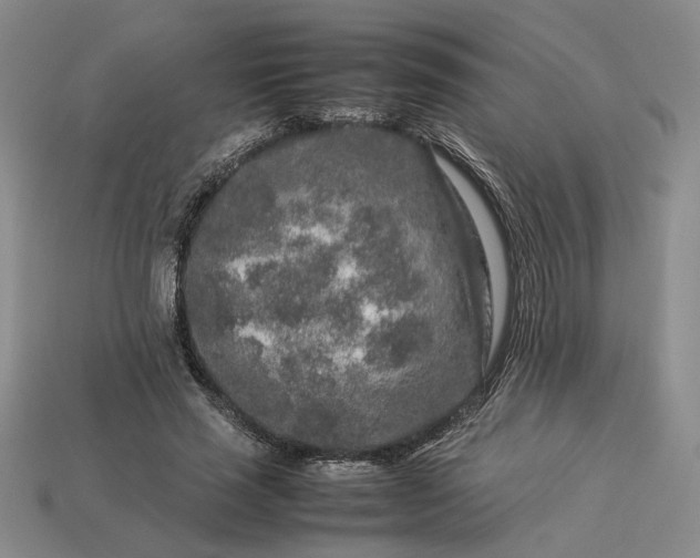 X0000113370637200909291052