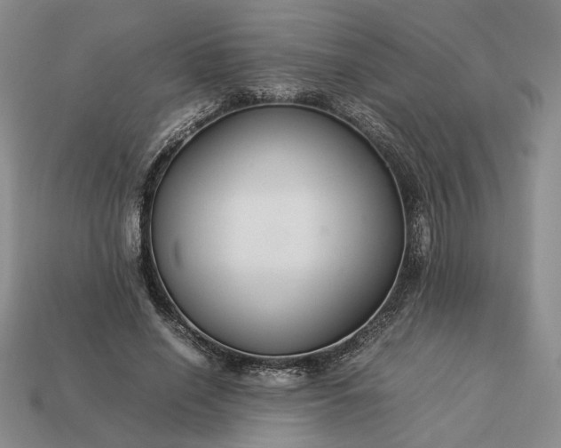 X0000113370638200909291052