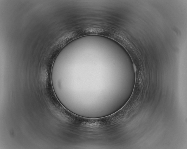 X0000113370639200909291052