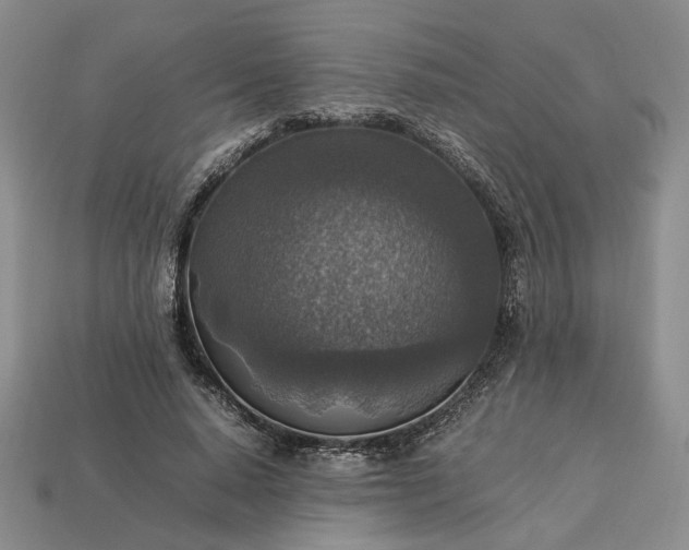 X0000113370640200909291052