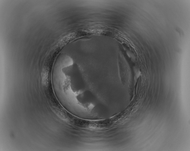 X0000113370641200909291052