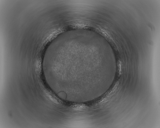 X0000113370642200909291052