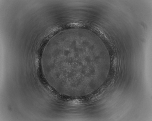 X0000113370643200909291052