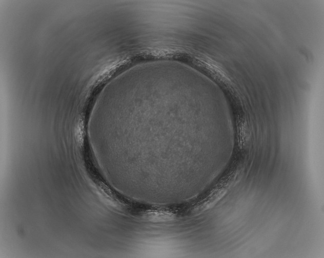 X0000113370644200909291052