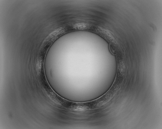 X0000113370645200909291052