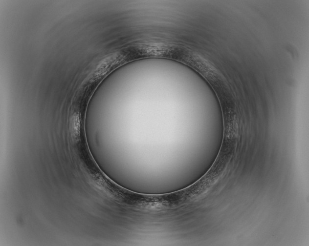 X0000113370646200909291052