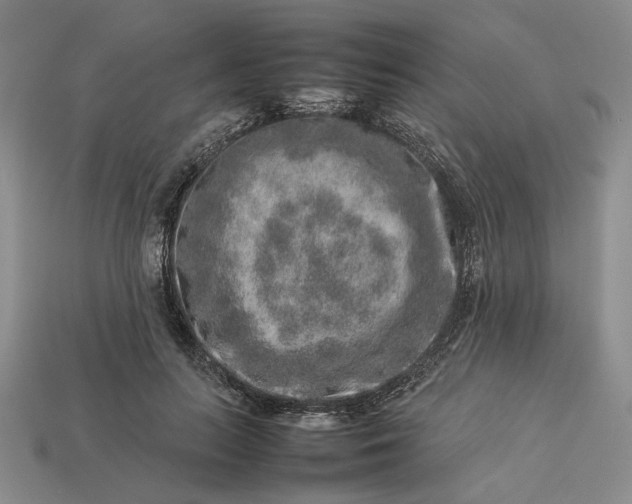 X0000113370647200909291052