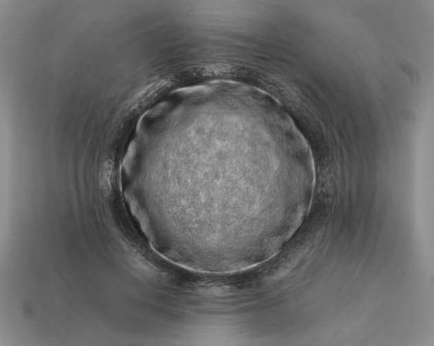 X0000113370648200909291052