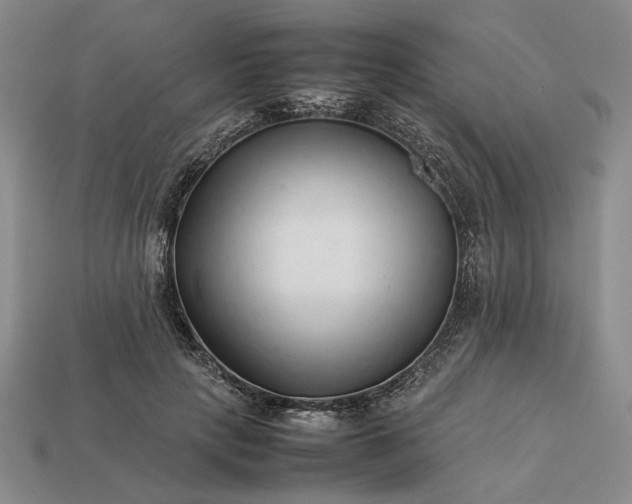 X0000113370649200909291052