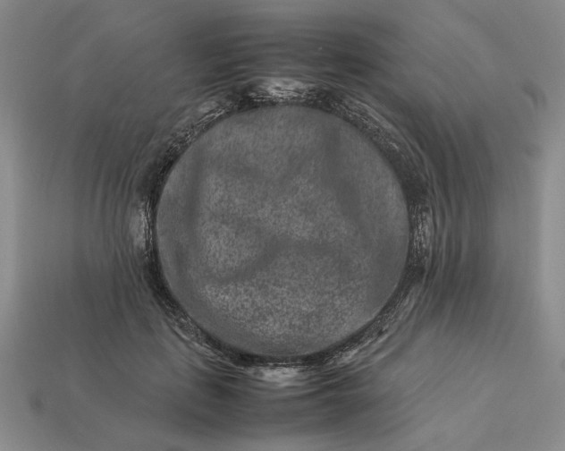 X0000113370651200909291052