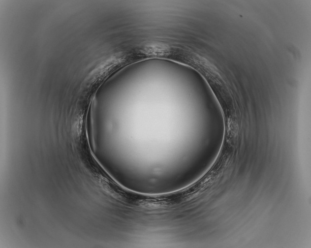 X0000113370652200909291052