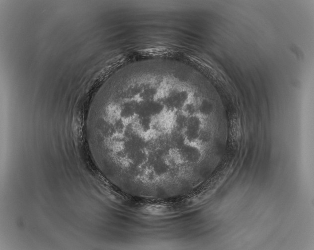 X0000113370653200909291052