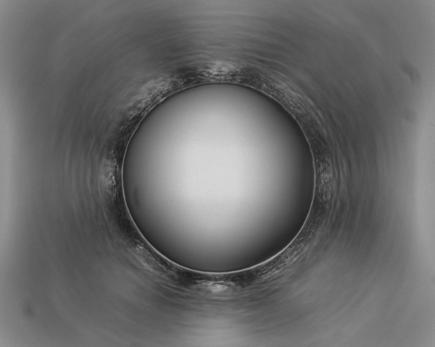 X0000113370654200909291052