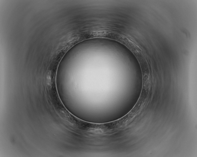 X0000113370655200909291052