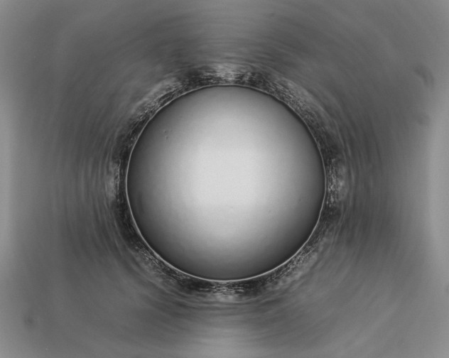 X0000113370656200909291052