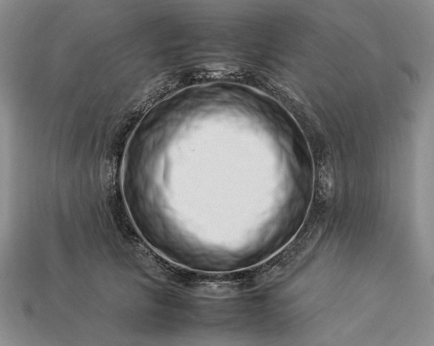 X0000113370657200909291052