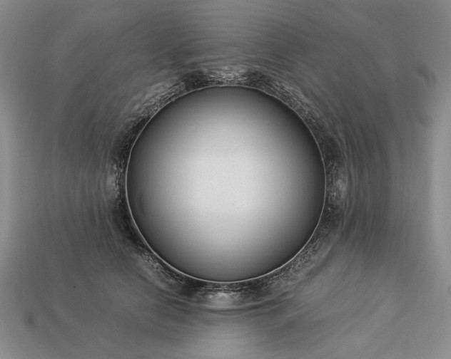 X0000113370658200909291052