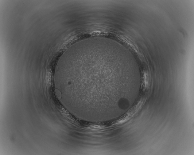 X0000113370659200909291052