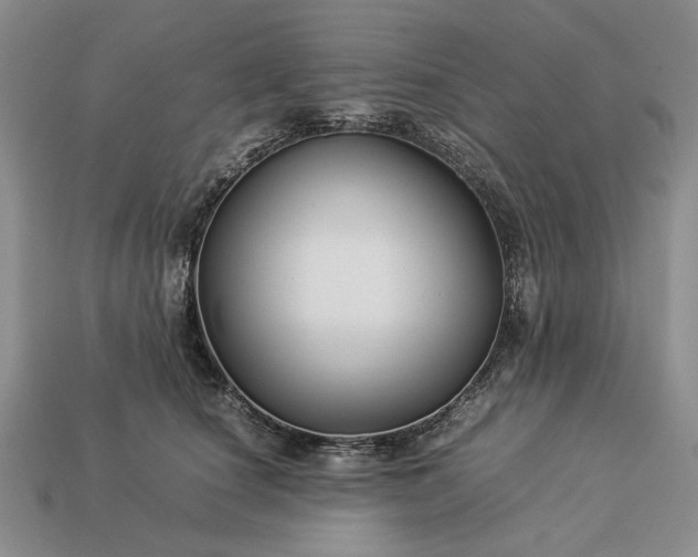 X0000113370660200909291052