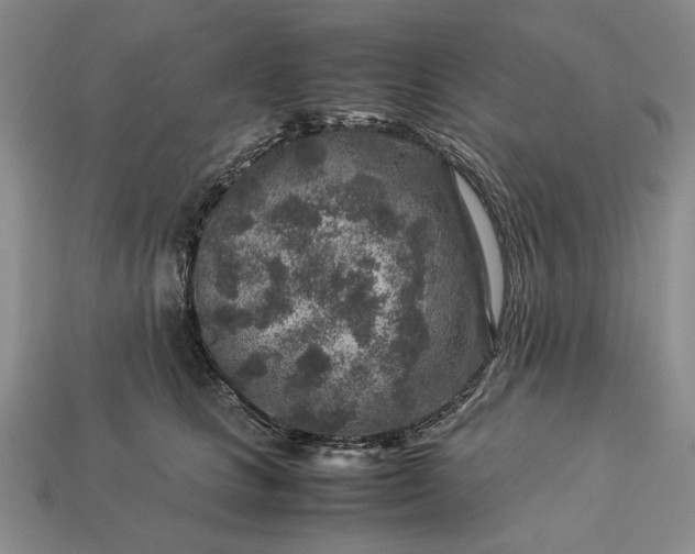 X0000113370661200909291052