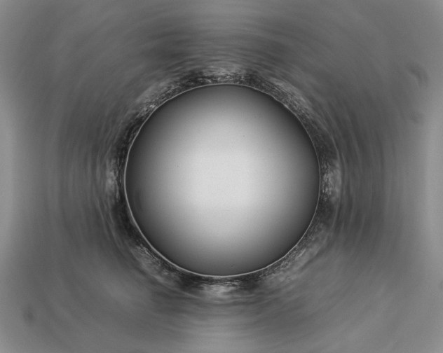 X0000113370662200909291052