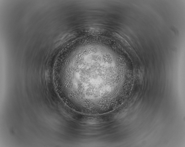 X0000113370663200909291052