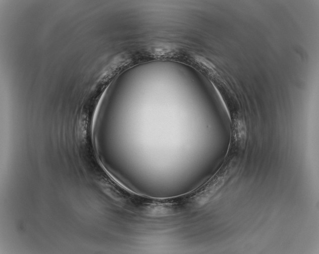 X0000113370664200909291052