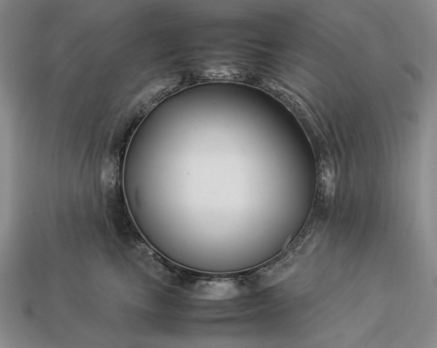 X0000113370665200909291052