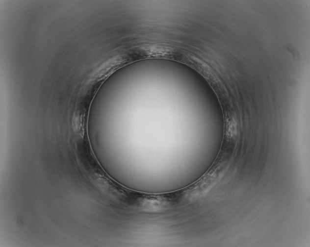 X0000113370666200909291052