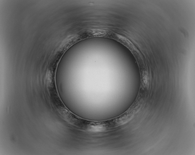 X0000113370667200909291052