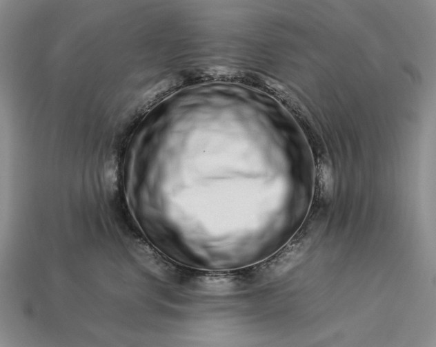 X0000113370668200909291052