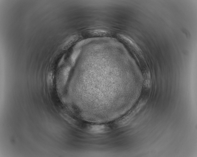 X0000113370669200909291052