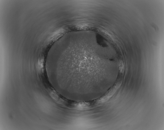 X0000113370670200909291052