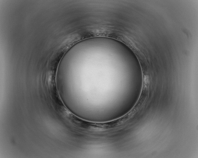 X0000113370671200909291052