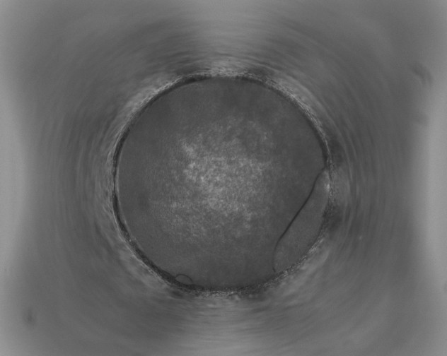 X0000113370673200909291052