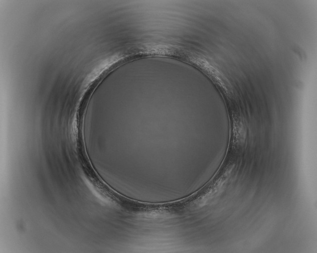 X0000113370674200909291052