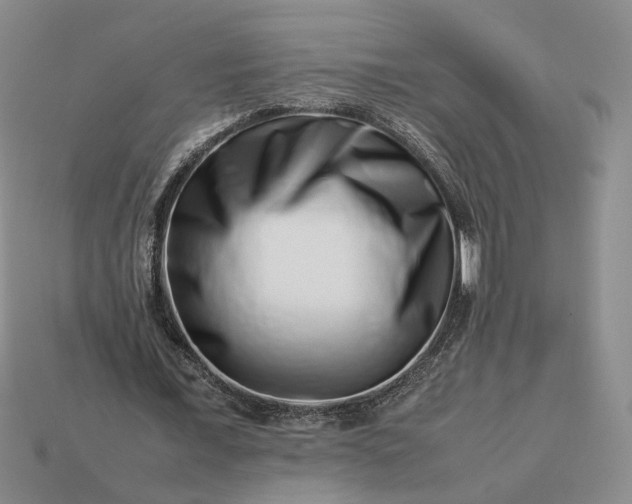 X0000113370675200909291052