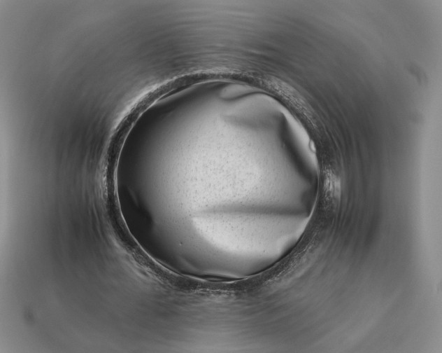 X0000113370676200909291052