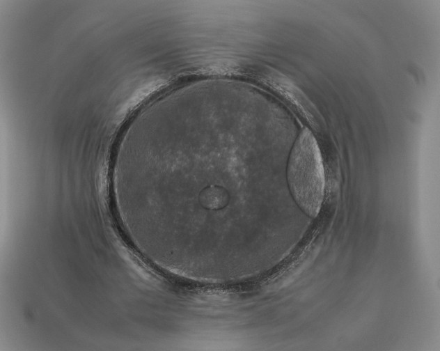 X0000113370677200909291052