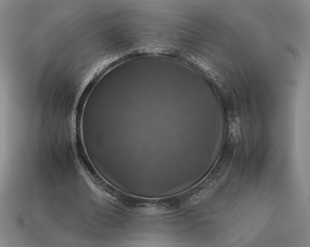 X0000113370678200909291052