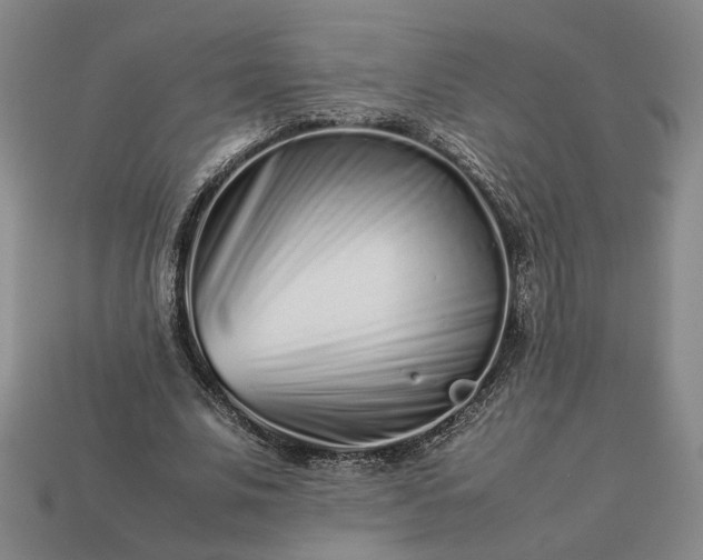 X0000113370679200909291052