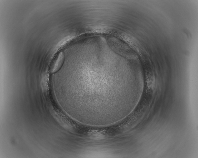 X0000113370680200909291051