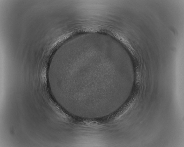 X0000113370681200909291051