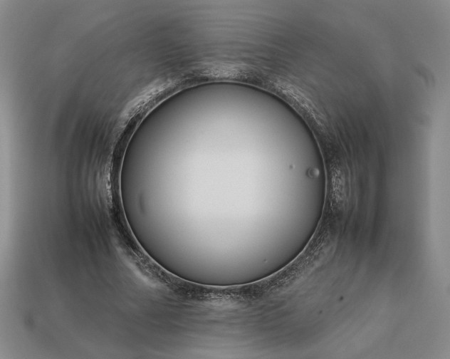 X0000113370682200909291051