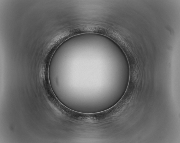 X0000113370683200909291051