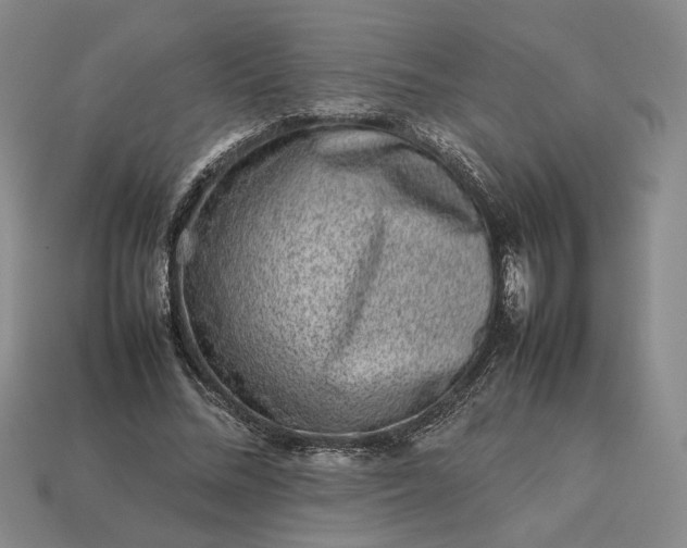 X0000113370684200909291051