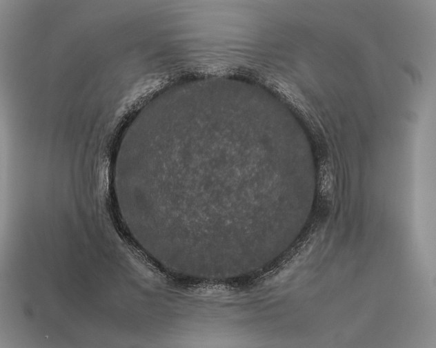 X0000113370685200909291051