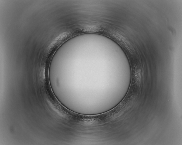 X0000113370686200909291051