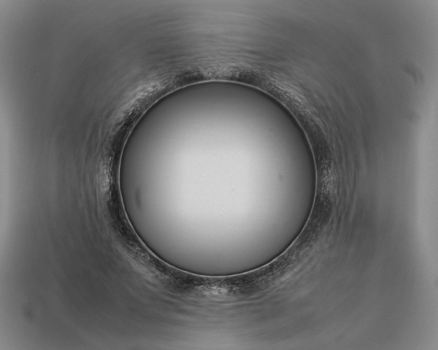 X0000113370687200909291051